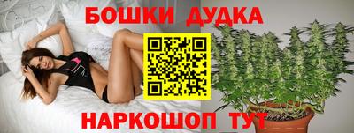 Альфа ПВП Лесосибирск