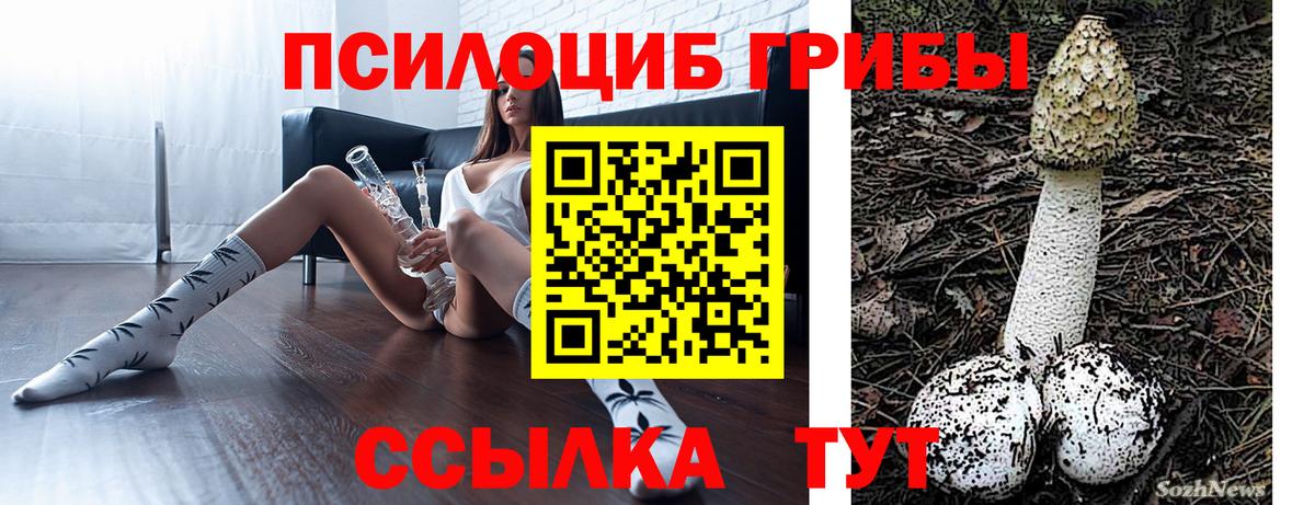 Галлюциногенные грибы Psilocybine cubensis Пенза