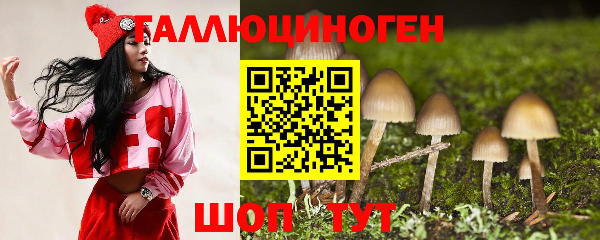 Пенза  Псилоцибиновые грибы Cubensis  Вход с VPN 